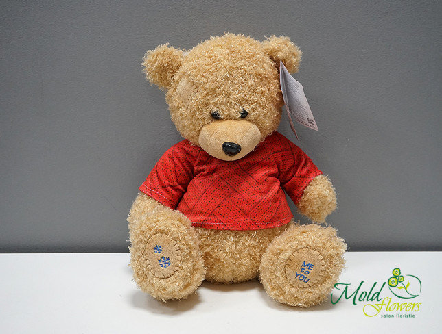 Bear in Sweater-2, Height 35 cm photo